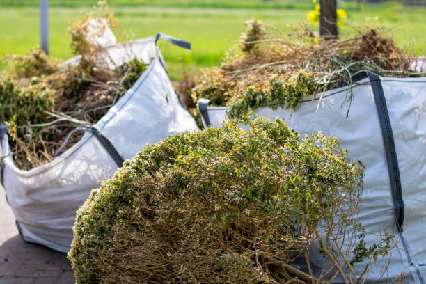 Best Trash Removal Near Me  in Little Rock, AR